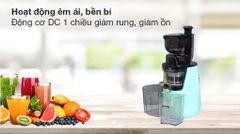 Máy ép chậm Kalite KL-598