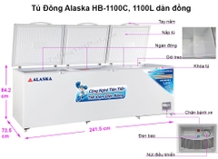 Tủ Đông Alaska HB-1100C- Dung Tích 1000 Lít