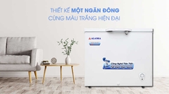 Tủ Đông Alaska BD-300c Dung Tích 300 Lít