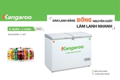 Tủ đông kháng khuẩn Kangaroo KG699C1