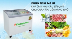 Tủ đông Kangaroo 248 lít KG308C1