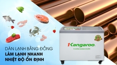 Tủ đông Kangaroo 248 lít KG308C1