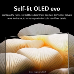 Tivi LG OLED Posé Objet Collection LX1 55 inch 4K Smart TV | 55LX1Q