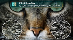 Google Tivi Mini LED Sony 4K 65 inch K-65XR70