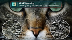 Google Tivi Mini LED Sony 4K 85 Inch K-85XR90