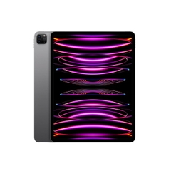 iPad Pro 11” M2 5G 128GB Gray/Silver