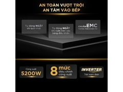 Bếp từ đôi âm BlueStone ICB-6833