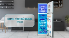 Tủ lạnh Casper Inverter 258 lít RT-270VD