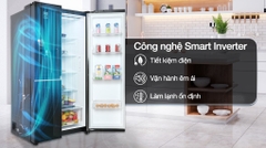 Tủ Lạnh LG Inverter 635 Lít GR-D257WB