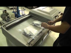 Máy ép chân không công nghiệp hai buồng DZQ-400