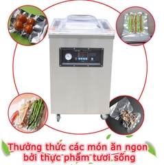 Máy hút chân không công nghiệp DZQ-400