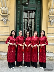 Áo dài gấm 2 tà đan, kiểu dáng mới lạ, chất liệu cao cấp, thanh lịch duyên dáng NKDV2411006 ( ko kèm quần + PK)
