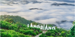 TOUR DU LỊCH LANGBIANG ĐÀ LẠT 1 NGÀY