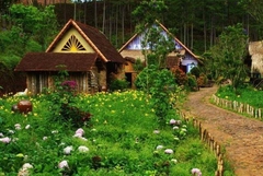 TOUR DU LỊCH NỘI THÀNH ĐÀ LẠT