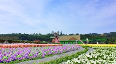 TOUR DU LỊCH ĐƯỜNG HẦM ĐẤT SÉT ĐÀ LẠT