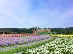 Tour Ngoại Thành Đà Lạt 1 ngày