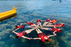 Tour Bình Lập Bình Hưng 1 Ngày Siêu Hot