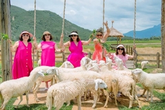 Tour Vịnh Vĩnh Hy 1 Ngày Hấp Dẫn [Trọn Gói - Ưu Đãi 30%]