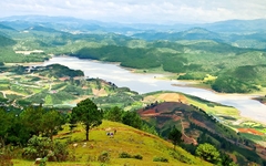 TOUR DU LỊCH LANGBIANG ĐÀ LẠT 1 NGÀY