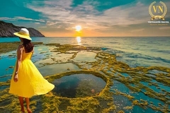 Tour Hang Rái Vĩnh Hy - Vườn Nho - Đồng Cừu [ ĐẸP-RẺ-CHẤT]