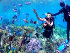 NHA TRANG ISLANDS TOUR & DIVING TOUR 1 DAY SAVE UP TO 70%