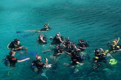 Tour 4 Đảo Kết Hợp Lặn Biển Nha Trang