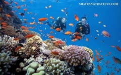 Tour Du Lịch 2 Đảo Nha Trang