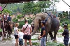 TOUR DU THUYỀN CƯỠI VOI ĐÀ LẠT 1 NGÀY