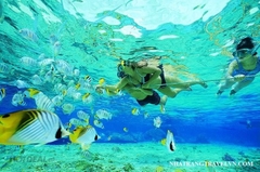 Tour Bơi Ngắm San Hô Và Câu Cá Thư Giãn