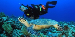 Tour 4 Đảo Kết Hợp Lặn Biển Nha Trang