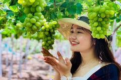 Tour Bình Lập Nha Trang 1 Ngày