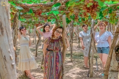 Tour Hà Nội Nha Trang  4 Ngày 3 Đêm [Ưu Đãi 30% - Trọn Gói]