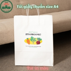 Túi giấy chuẩn size A4-Block 1-100 túi lẻ/1000 túi sỉ-sản xuất theo thiết kế