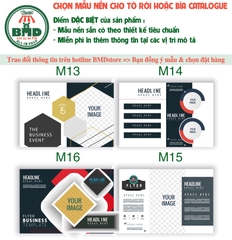 Tờ rơi (Flyer) - Catalogue - Block 1 tờ A4- in theo thiết kế