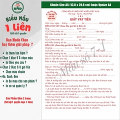 Giấy vay tiền 1 liên-Bloc 2 (in sẵn) & Bloc 6 (chọn mẫu in tên) hoặc theo thiết kế
