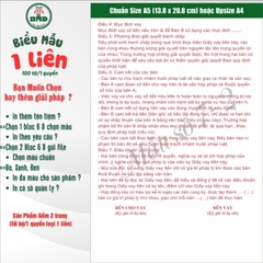 Giấy vay tiền 1 liên-Bloc 2 (in sẵn) & Bloc 6 (chọn mẫu in tên) hoặc theo thiết kế