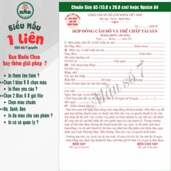 Hợp đồng cầm đồ 1 liên-Bloc 2 (in sẵn) & Bloc 6 (chọn mẫu in tên) hoặc theo thiết kế