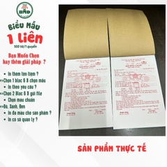 Hợp đồng cầm đồ 1 liên-Bloc 2 (in sẵn) & Bloc 6 (chọn mẫu in tên) hoặc theo thiết kế