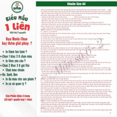 Hợp đồng cho thuê Nhà/Căn Hộ/Mặt Bằng/Phòng Trọ 1 liên(A4)-Bloc 1(in sẵn) & Bloc 3(chọn mẫu in tên) hoặc theo thiết kế