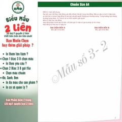 Hợp đồng cho thuê Nhà/Căn Hộ/Mặt Bằng/Phòng Trọ 2 liên(A4)-Bloc 1(in sẵn) & Bloc 3(chọn mẫu in tên) hoặc theo thiết kế