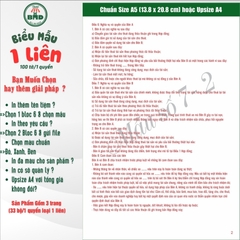 Hợp đồng cho thuê xe 1 liên-Bloc 2(in sẵn) & Bloc 6(chọn mẫu in tên) hoặc theo thiết kế