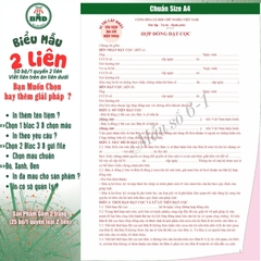 Hợp đồng Đặt Cọc Nhà Đất/Căn Hộ 2 liên(A4)-Bloc 1(in sẵn) & Bloc 3(chọn mẫu in tên) hoặc theo thiết kế