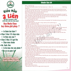 Hợp đồng cho thuê Nhà/Căn Hộ/Mặt Bằng/Phòng Trọ 2 liên(A4)-Bloc 1(in sẵn) & Bloc 3(chọn mẫu in tên) hoặc theo thiết kế