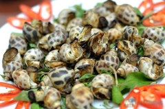 Ốc hương