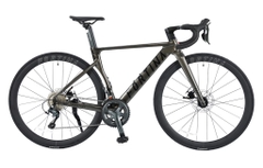 Xe đạp đua nhôm FORTINA FR7010 groupset Tiagra 4700(2x10speed)