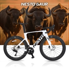 Xe đạp đua carbon NESTO Gaur 2025