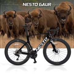 Xe đạp đua carbon NESTO Gaur 2025