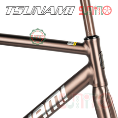 Sườn xe đạp fixed gear TSUNAMI SNM100 titan tự nhiên chính hãng