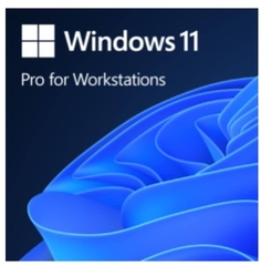 Phần mềm Microsoft Win 11 Pro for Workstation 64Bit Eng Intl 1pk DSP OEI DVD (HZV-00101)-NK