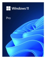 Phần mềm Microsoft Windows Pro 11 64Bit USB FPP/HAV-00163